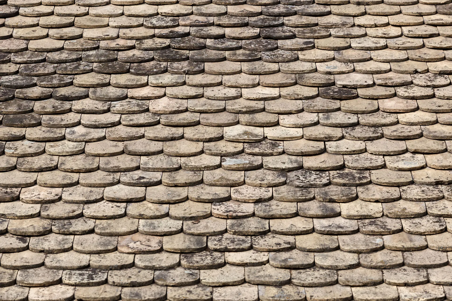 VIZIT