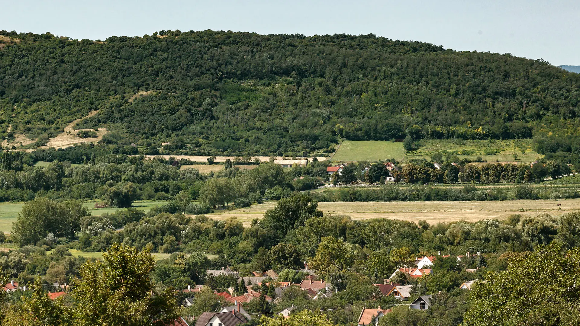 VIZIT