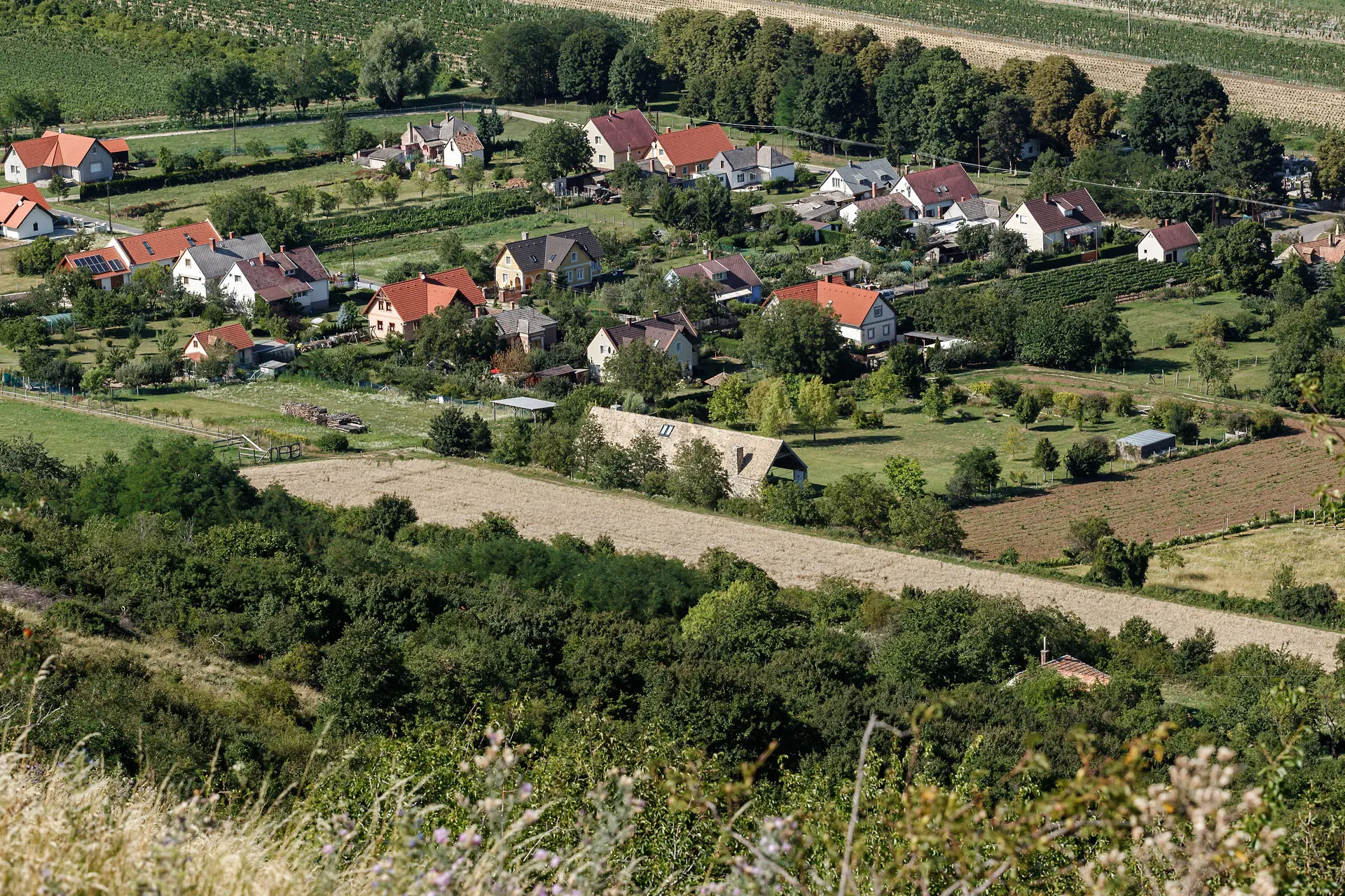 VIZIT