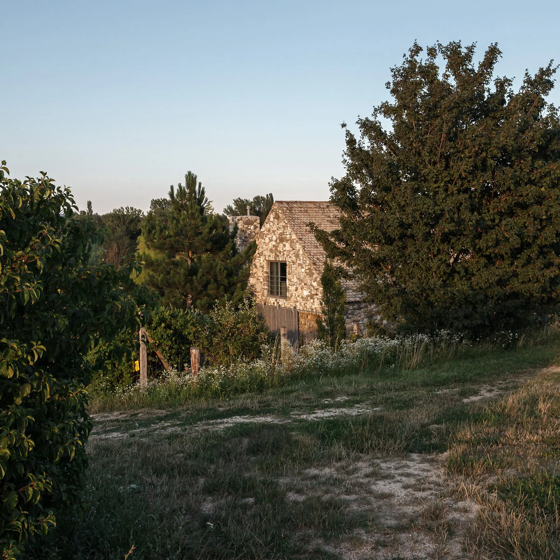 VIZIT