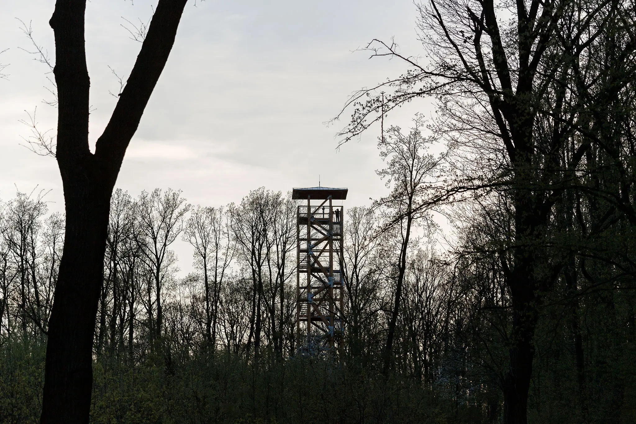 VIZIT