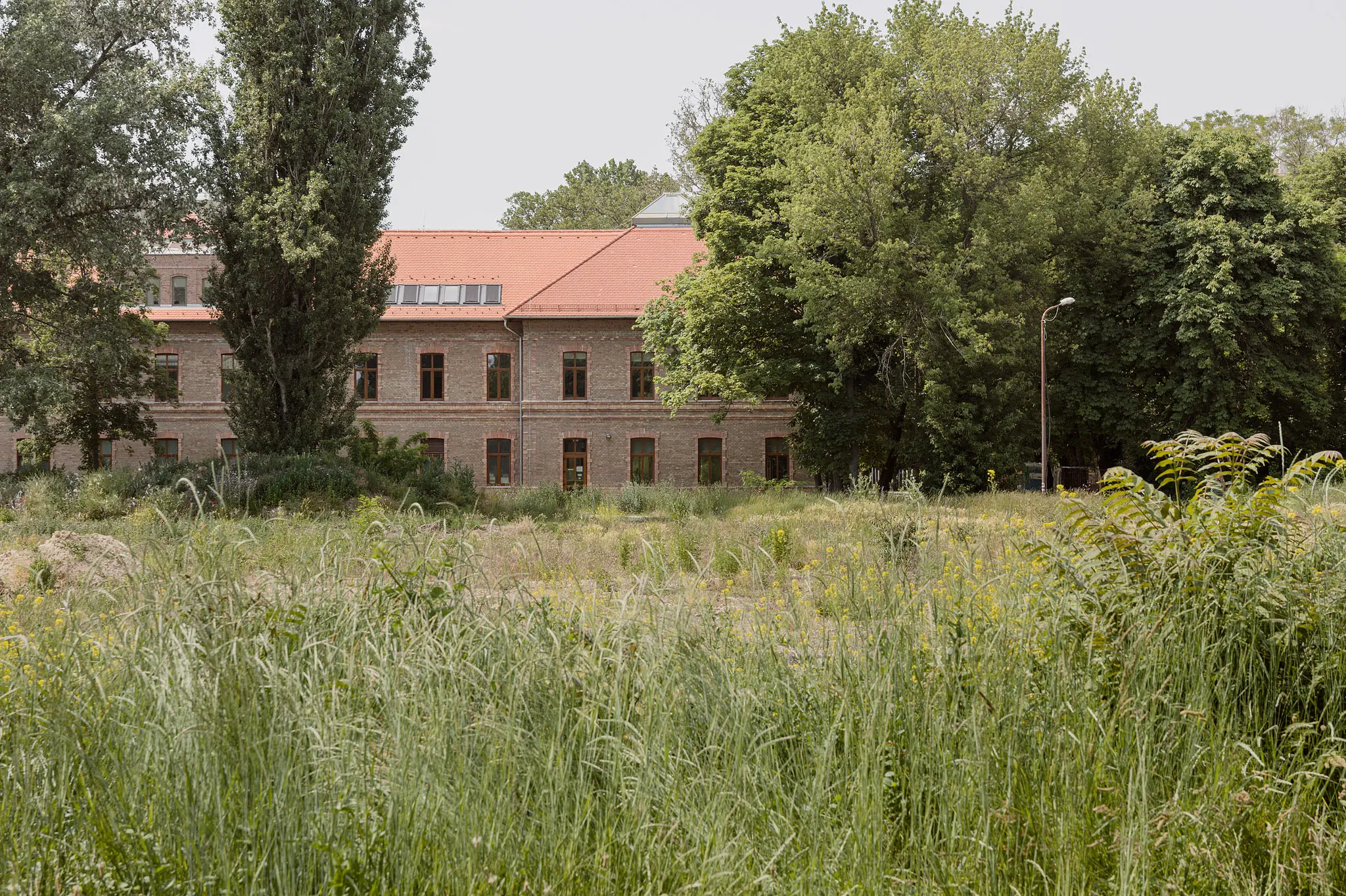 VIZIT