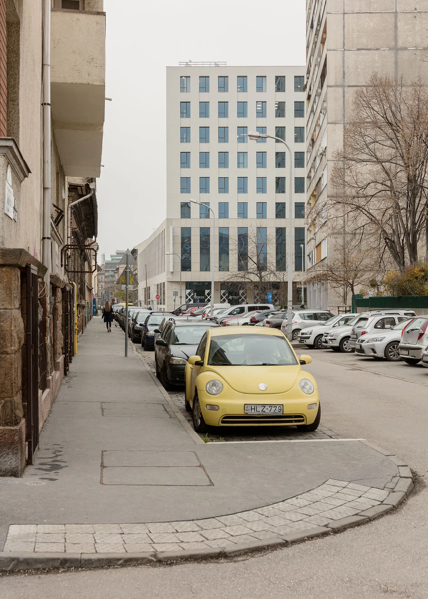 VIZIT