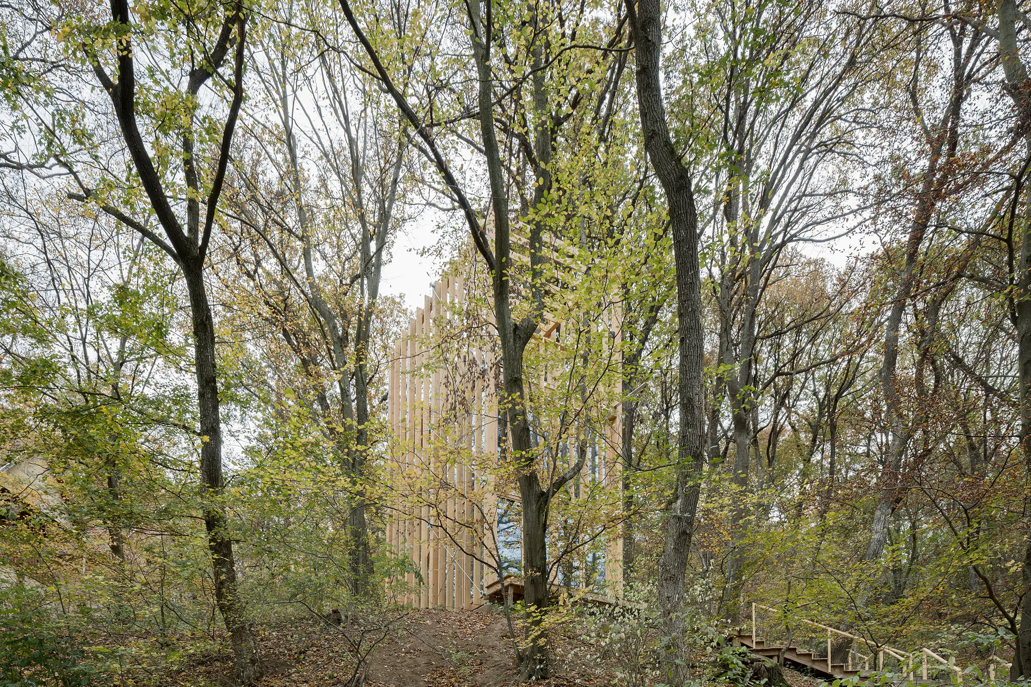 VIZIT