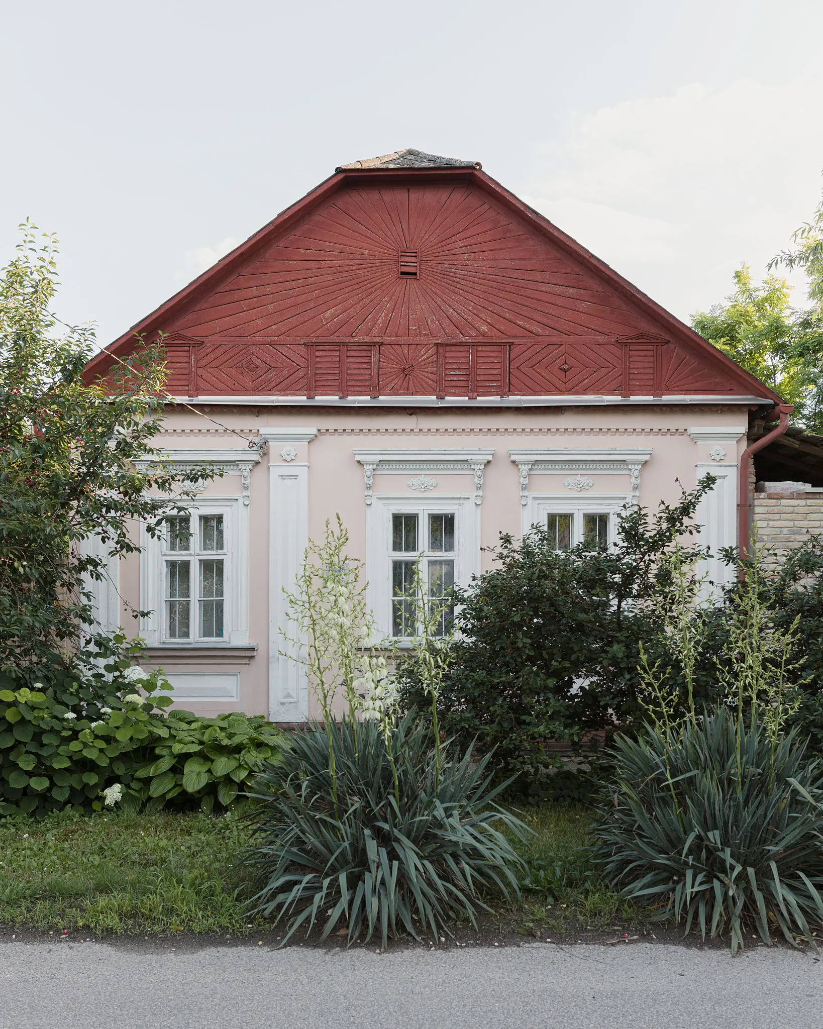 VIZIT