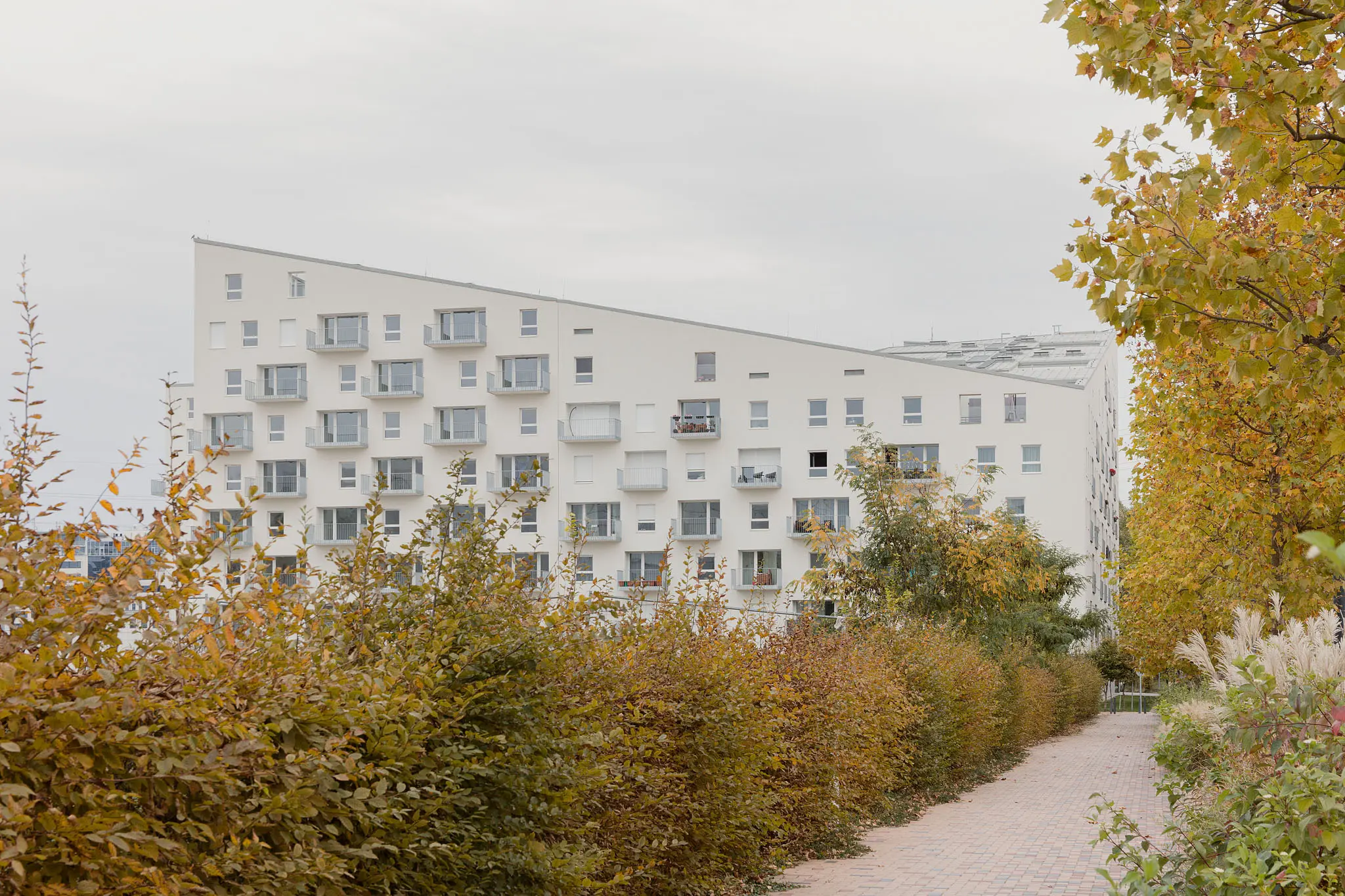 VIZIT