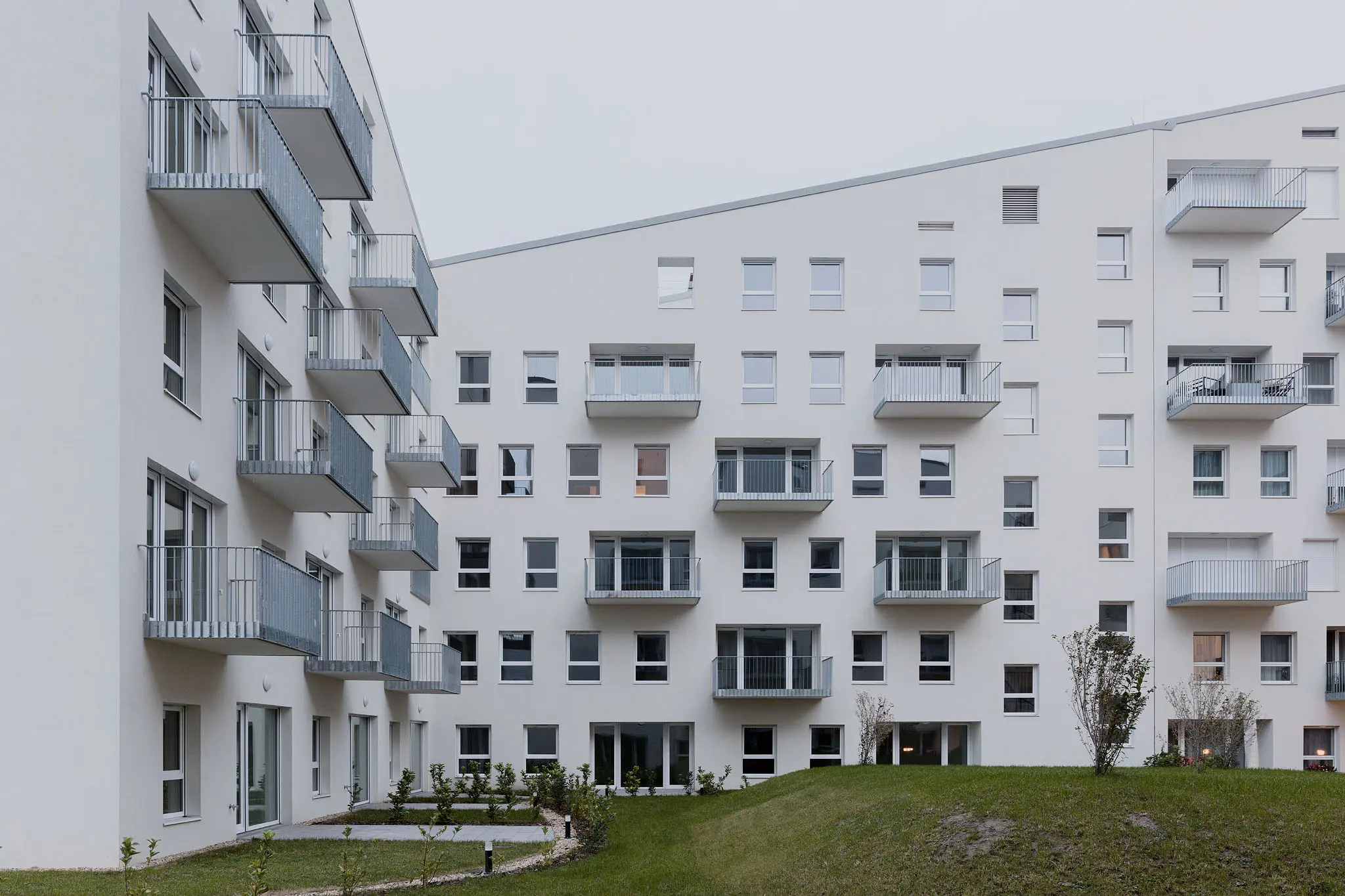 VIZIT
