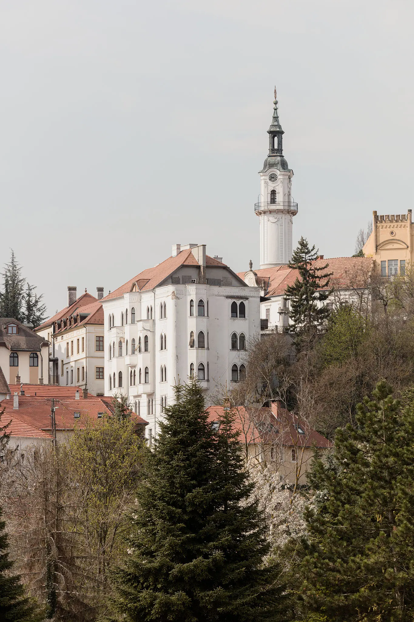 VIZIT