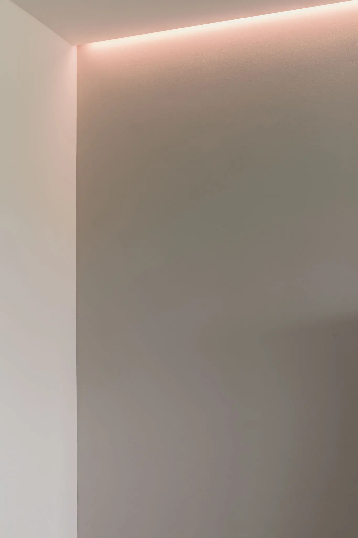 VIZIT
